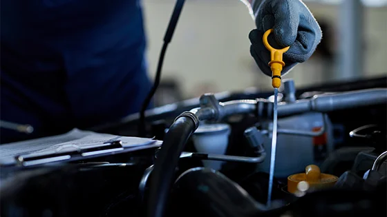 checking-car-oil-